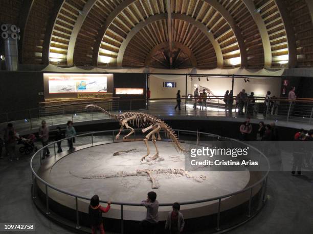 Inside the Museum Jurassic of Asturias , Colunga, Asturias, Spain, october 2010.