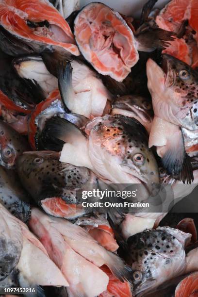 salmon heads for sale in a fish market, albert cuyp market in amsterdam - albert fish stock pictures, royalty-free photos & images