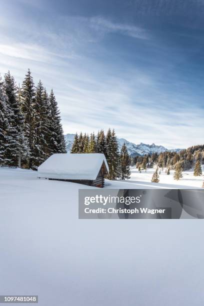 bayerische alpen - garmisch partenkirchen - bayerische alpen stock pictures, royalty-free photos & images