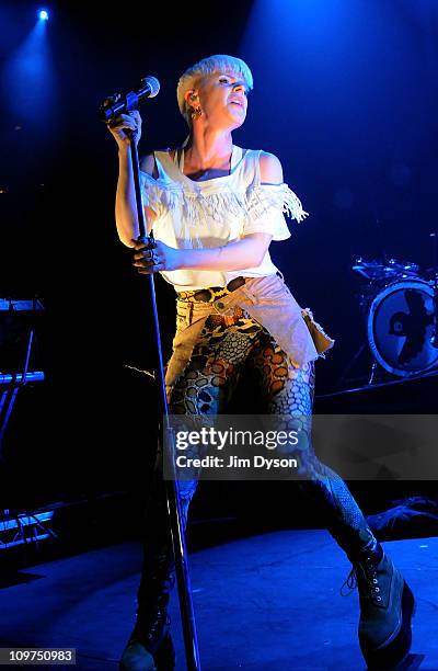 Robyn British Singer Robyn Singer Photos and Premium High Res Pictures - Getty Images