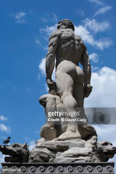 statue of hercules and cacus (florence, italy) - praça della signoria - fotografias e filmes do acervo