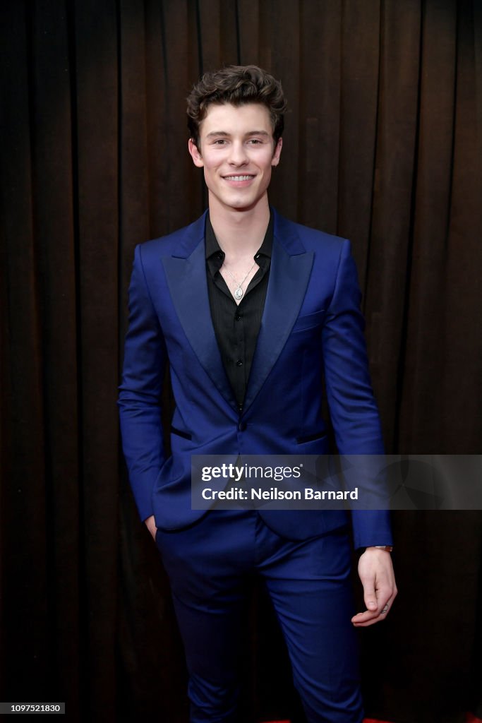 61st Annual GRAMMY Awards - Red Carpet