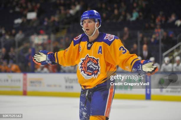 Steve Bernier of the Bridgeport Sound Tigers reacts after being called for goalie interference during a game against the Utica Comets at Webster Bank...