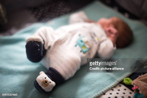 February 2019, Bavaria, Höhenkirchen-Siegertsbrunn: A few days old child lies in his bed. The midwife Pischinger has already helped more than 200...