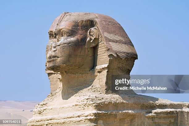 sphinx - the sphinx stock pictures, royalty-free photos & images