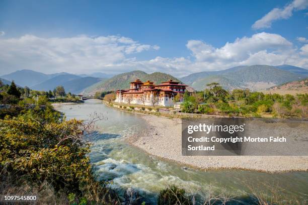 punakha dzong - punakha dzong stock pictures, royalty-free photos & images