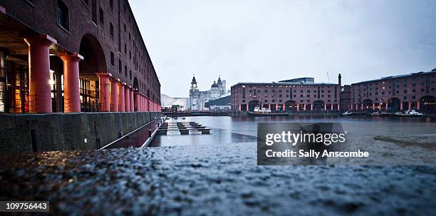 albert dock liverpool - albert dock stock pictures, royalty-free photos & images