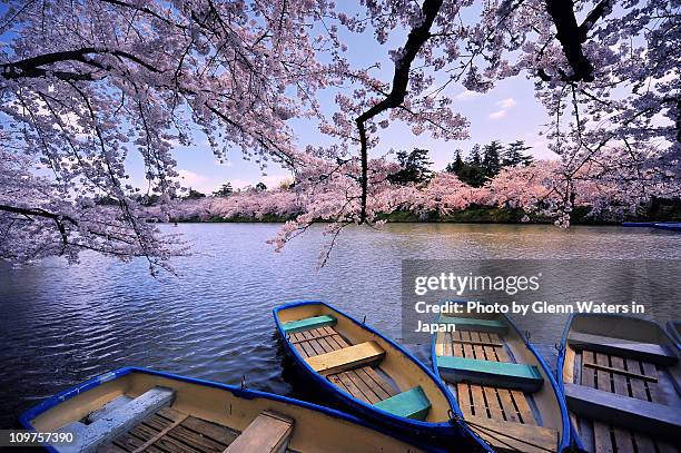 boats on moat - aomori - fotografias e filmes do acervo