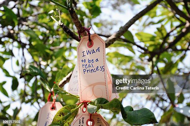 chinese new year. - wensen stockfoto's en -beelden