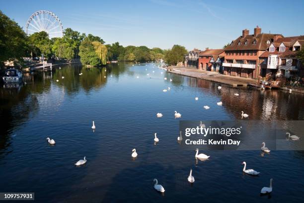 random scattering - thames river stock pictures, royalty-free photos & images