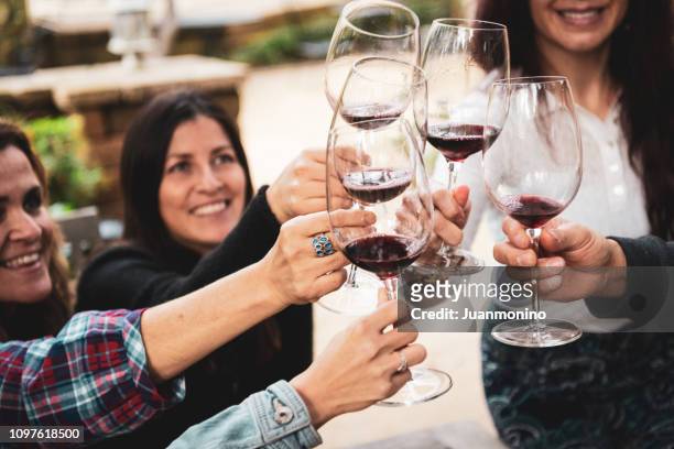 amigos brindando com vinho - napa califórnia - fotografias e filmes do acervo