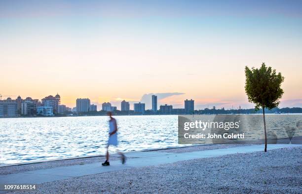 florida, sarasota, early morning exercising, sarasota bay, bird key - sarasota florida stock pictures, royalty-free photos & images