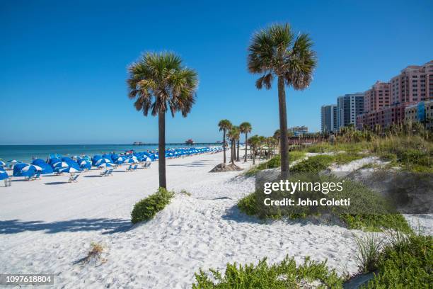 florida, clearwater beach, gulf of mexico - clearwater beach fotografías e imágenes de stock