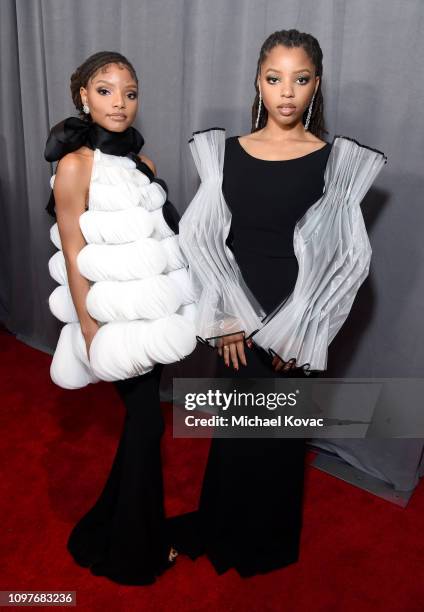 Halle Bailey and Chloe Bailey of Chloe x Halle attend the 61st Annual GRAMMY Awards at Staples Center on February 10, 2019 in Los Angeles, California.