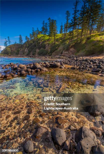 beautiful cresswell's bay at low tide, norfolk island, south pacific. - cresswell stock pictures, royalty-free photos & images