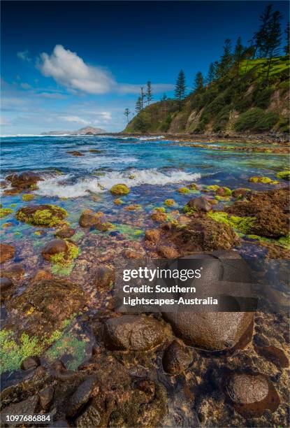 beautiful cresswell's bay at low tide, norfolk island, south pacific. - cresswell stock pictures, royalty-free photos & images