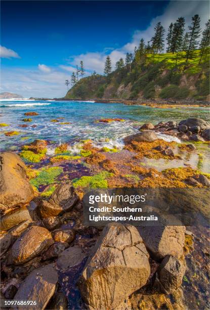 beautiful cresswell's bay at low tide, norfolk island, south pacific. - cresswell stock pictures, royalty-free photos & images