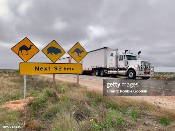 truck and road sign warning about camels, wombats and kangaroos on the road while crossing the nullarbor plain. eyre highway, south australia - thisisaustralia kangaroo stock pictures, royalty-free photos & images