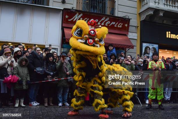 Lion dance to entertain the crowds during Milans Chinese New Year celebrations, which took place on February 10th, marking the transition from the...