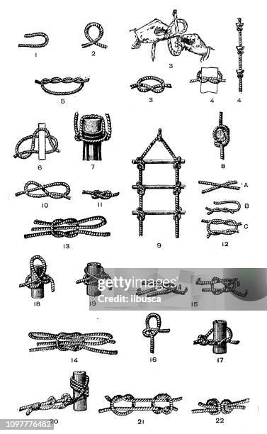 ilustraciones, imágenes clip art, dibujos animados e iconos de stock de antigua ilustración francesa grabado antiguo: nudos - nudo