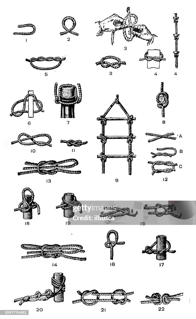 Antique old French engraving illustration: Knots