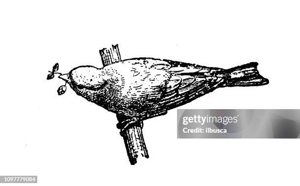 215点のカナリアイラスト素材 Getty Images 215点のカナリアイラスト素材 Getty Images