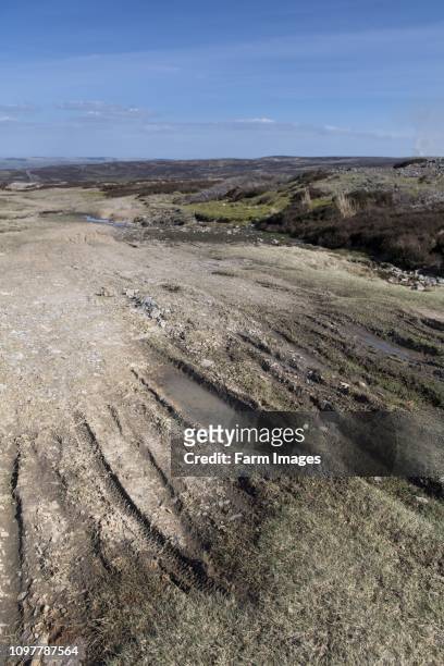 Erosion damage on an upland moor from vehicles and walkers. Swaledale, North Yorkshire, UK
