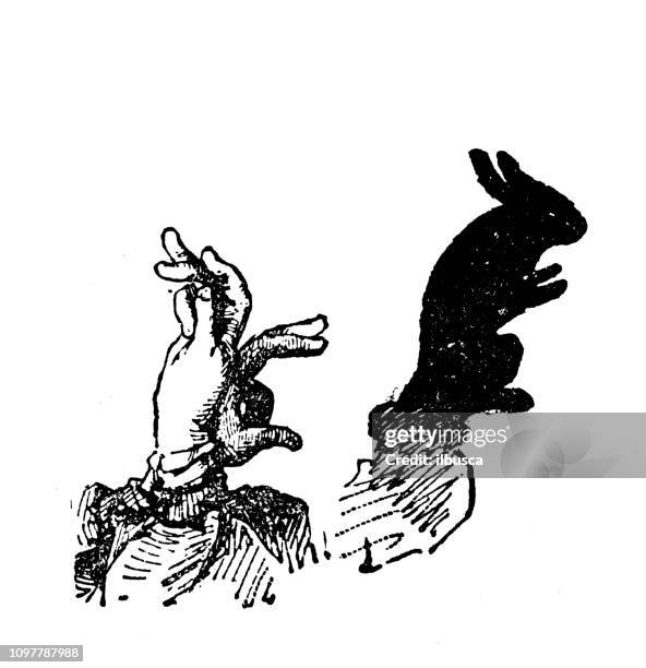 1,192 Hand Shadow Animal Photos and Premium High Res Pictures - Getty Images 1,192 Hand Shadow Animal Photos and Premium High Res Pictures - Getty Images