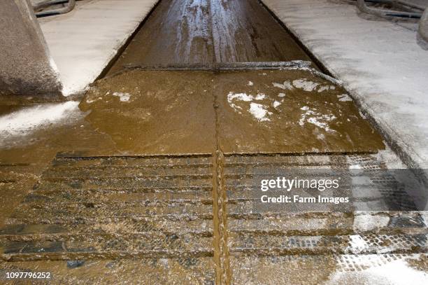 Farm Supply Chain Photos and Premium High Res Pictures - Getty Images