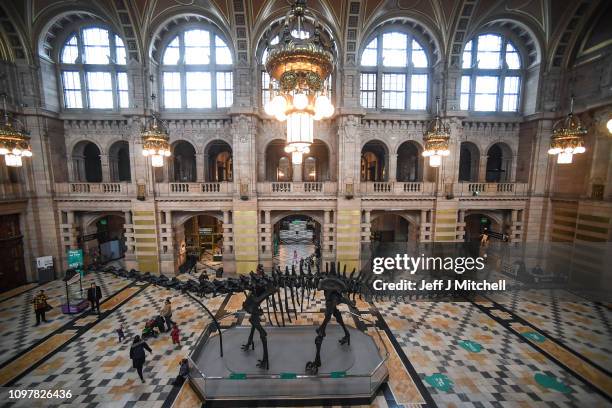 Members of the public view Dippy the dinosaur as it went on show to the public at Kelvingrove Art Gallery and Museum on January 22, 2019 in Glasgow,...