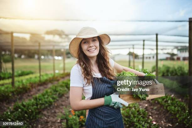 my office has the best view of all - female farmer stock pictures, royalty-free photos & images