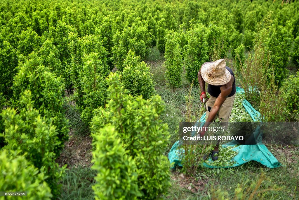 COLOMBIA-VENEZUELA-CRISIS-MIGRANT-COCA