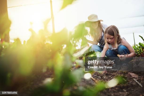 voll von organischen güte - children gardening stock-fotos und bilder