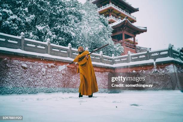 kung fu monk warrior in shaolin temple china - templo shaolin imagens e fotografias de stock