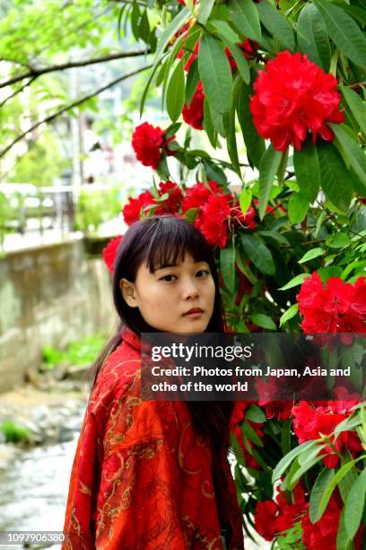 young japanese woman and red rhododendron flowers - april 20 stock pictures, royalty-free photos & images