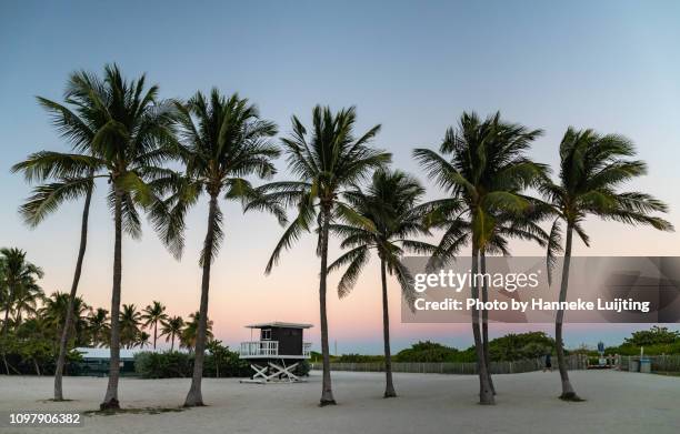 miami sunset - miami beach fotografías e imágenes de stock