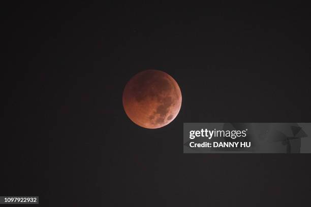 red moon - danny rood stockfoto's en -beelden