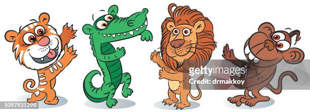 funny animals - alligator stock illustrations