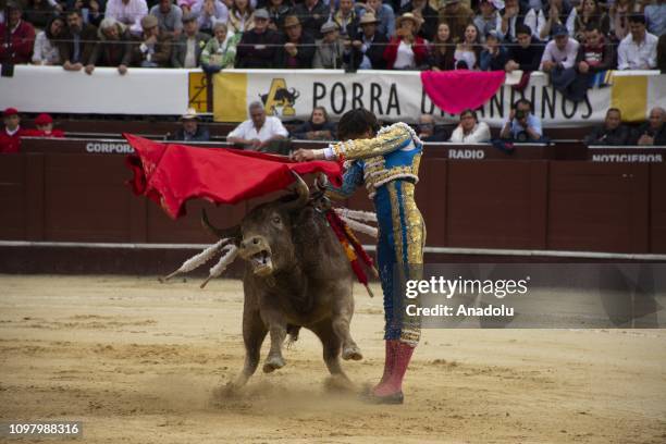 Peruvian matador Andres Roca Rey performs during the bullfight in Bogota, Colombia on February 11, 2019.