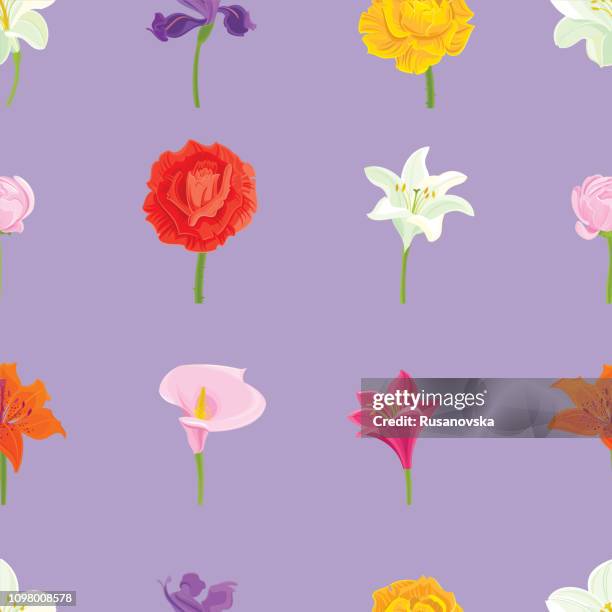 rose, iris, white lily, ranunculus, calla lily. floral seamless pattern - iris flower stock illustrations