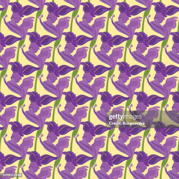 purple iris. floral seamless pattern. - iris flower stock illustrations