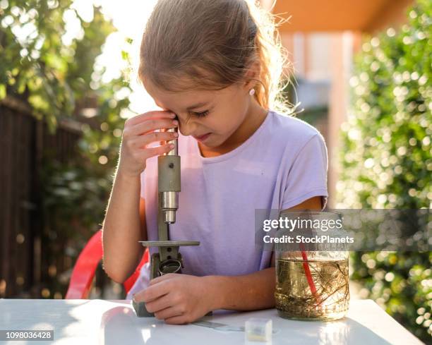 cute little girl looking through the microscope - ciliate stock pictures, royalty-free photos & images