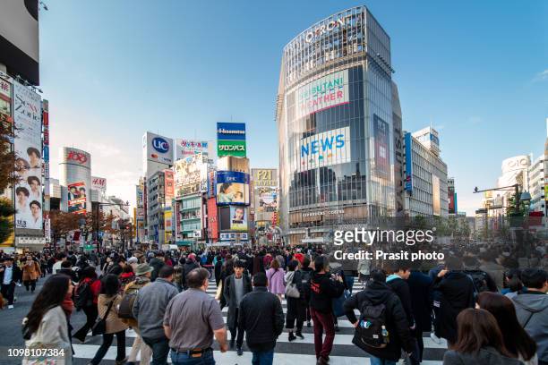 tokyo, japan view of shibuya crossing, one of the busiest crosswalks in tokyo and in the world - distrito de shibuya fotografías e imágenes de stock