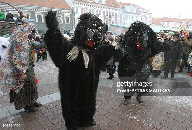 Revellers wearing masks and dressed as gypsies, horses, goats or bears parade in the streets of the old town of Vilnius to celebrate Uzgavenes or...