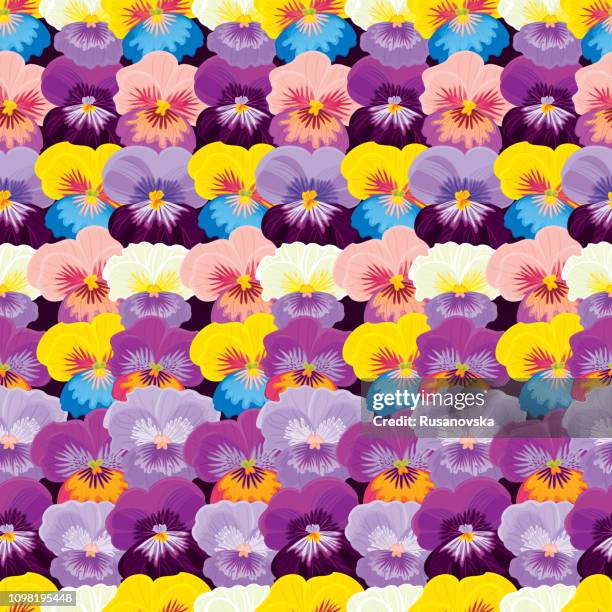 pansies. floral seamless pattern. vector illustration. - pansy stock illustrations