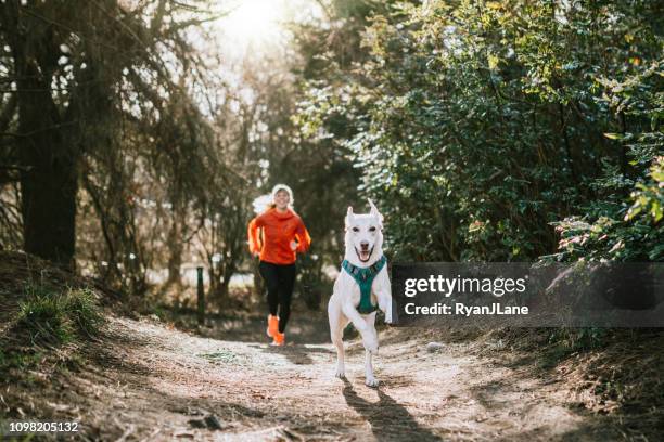 woman running outdoors with pet dog - king county stock pictures, royalty-free photos & images