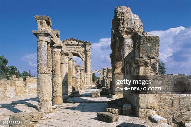 View of the Triumphal Arch from the al-Bass necropolis, Tyre , Lebanon. Roman-Byzantine civilization.