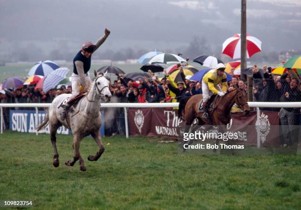 Simon Sherwood riding Desert Orchid celebrates as he beats Yahoo to the line to win the Tote Cheltenham Gold Cup at the Cheltenham National Hunt...