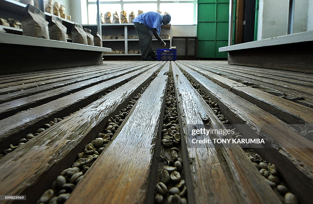 TO GO WITH AFP STORY BY JEAN-MARC MOJON