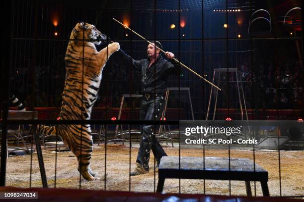 An artist and a Lion perform during the Gala Ceremony of the 43rd International Circus Festival of Monte-Carlo on January 22, 2019 in Monaco, Monaco.